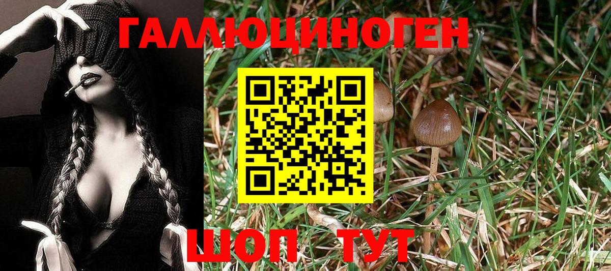 Галлюциногенные грибы мухоморы Приморско-Ахтарск