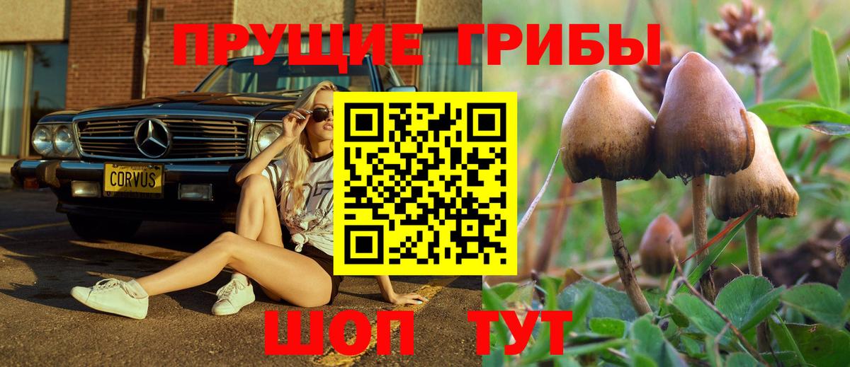 Приморско-Ахтарск  Псилоцибиновые грибы Cubensis  Вход с VPN 